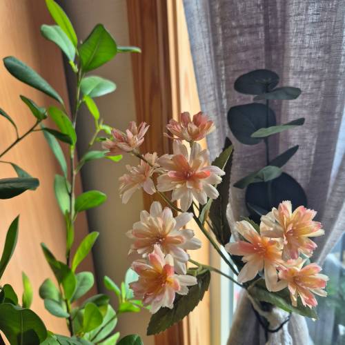 Blommor sittandes i gardin samt grön växt