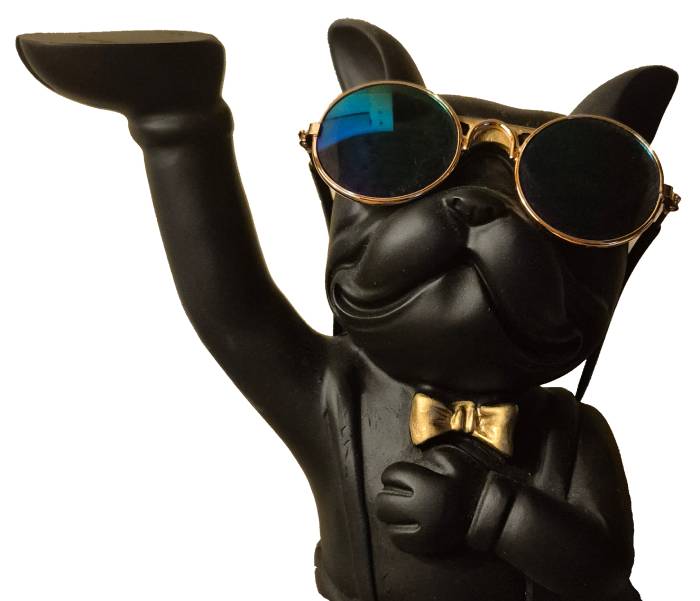 Svart hund med solglasögon och tass i luften